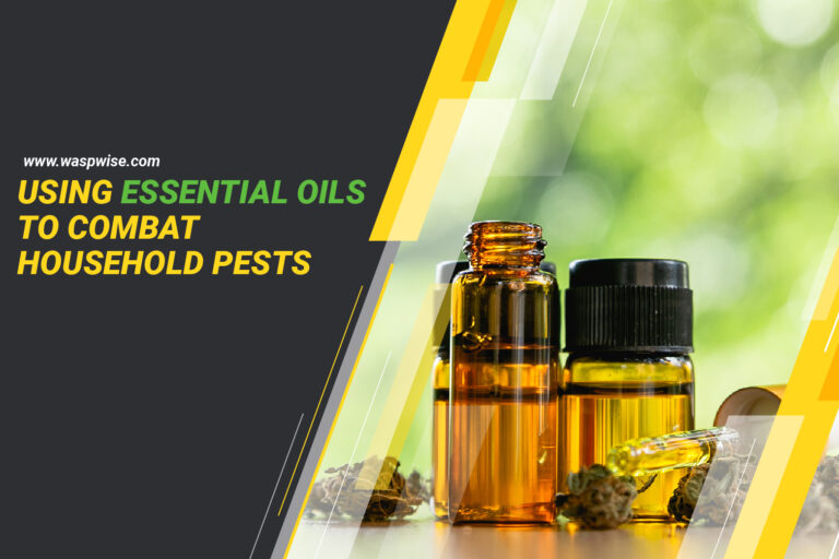 USING ESSENTIAL OILS TO COMBAT HOUSEHOLD PESTS