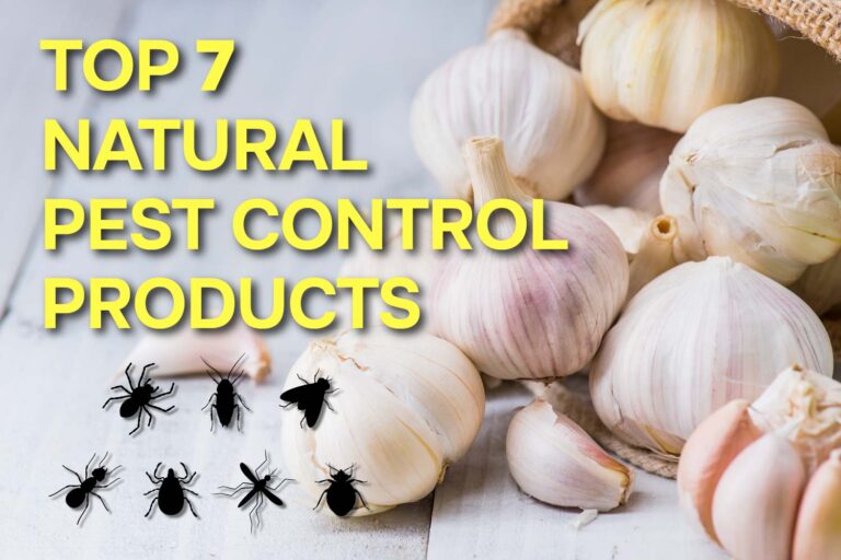 TOP 7 NATURAL PEST CONTROL PRODUCTS FOR YOUR HOME AND GARDEN