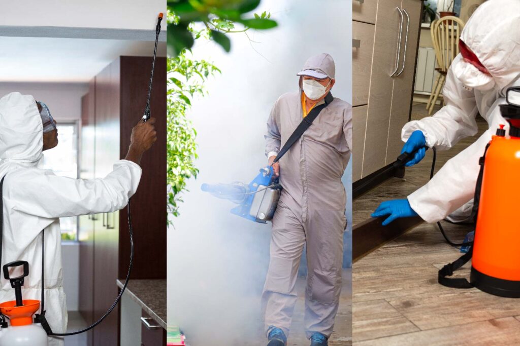 The Pros And Cons Of Natural Pest Control Vs Chemical Pest Control