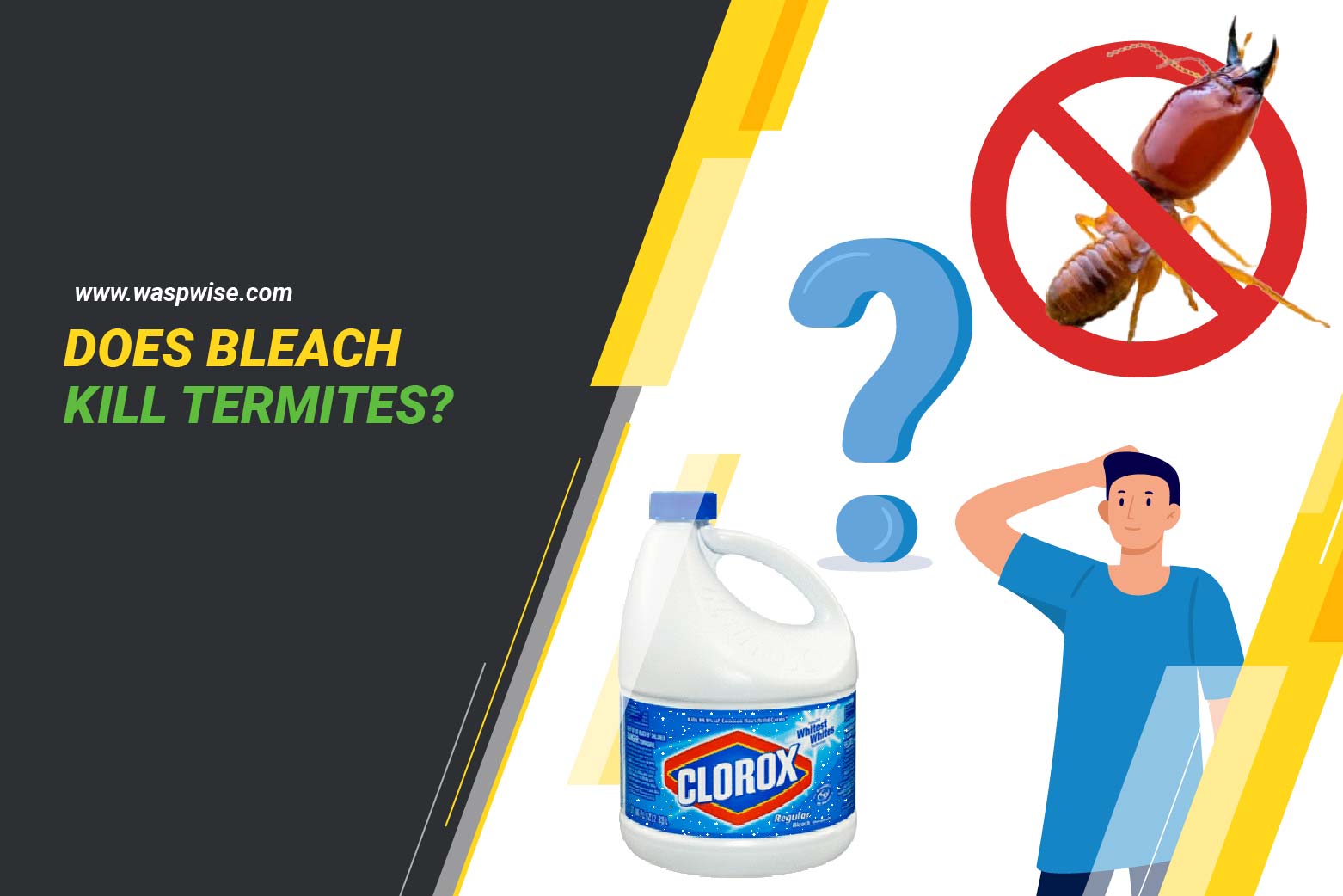 Does bleach kill termites