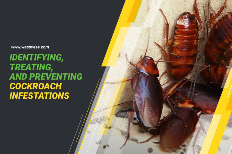 YOUR GUIDE TO IDENTIFYING, TREATING, AND PREVENTING COCKROACH INFESTATIONS