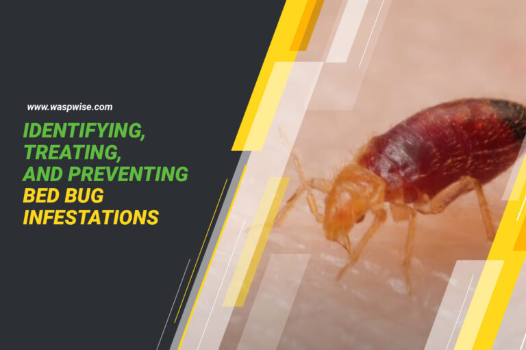 BED BUGS 101: YOUR GUIDE TO IDENTIFYING, TREATING, AND PREVENTING BED BUG INFESTATIONS