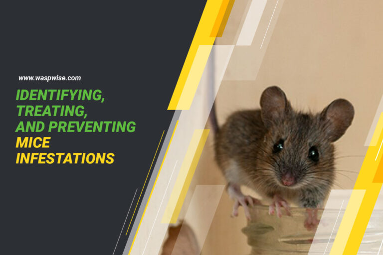 Identifying, treating and preventing mice infestation