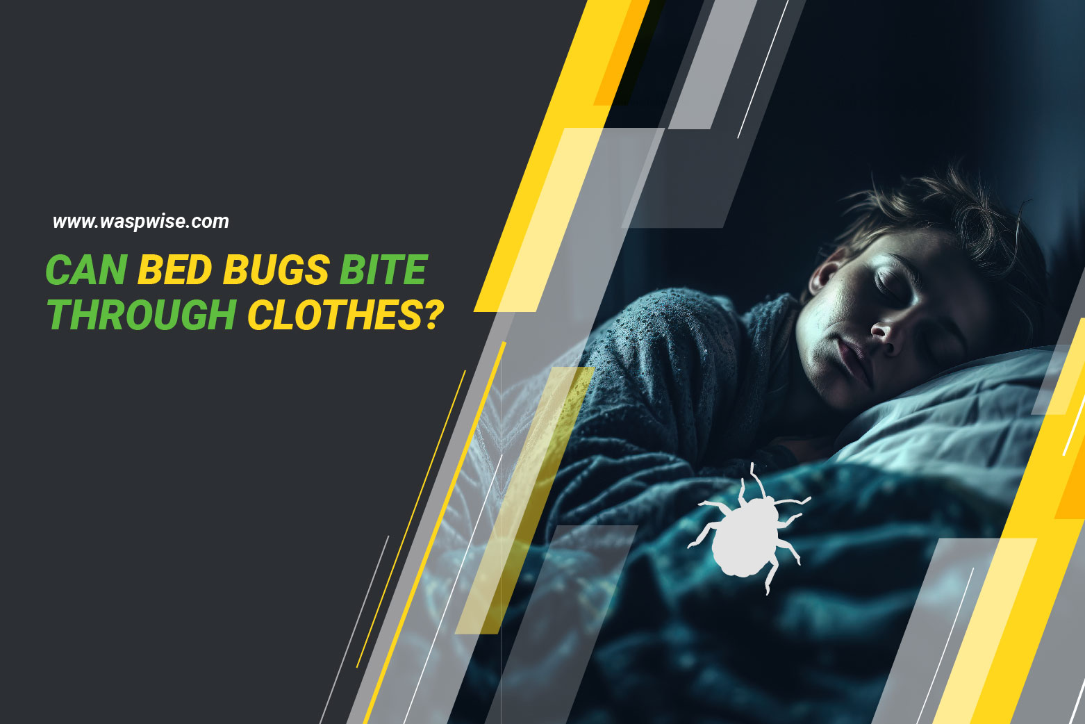 Can bed bug bite through clothes