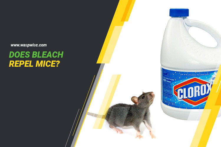 DOES BLEACH REPEL MICE